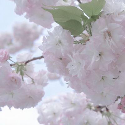 天门FurryQQ群介绍